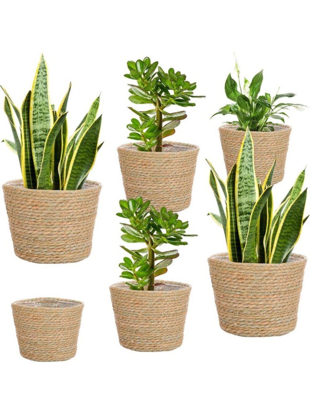 Hand Woven Seagrass Planter Basket Set of 6 | Classic Flower Pot Covers